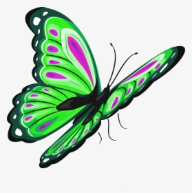 Butterfly Clip Art - Transparent Butterfly Clipart, HD Png Download, Free Download