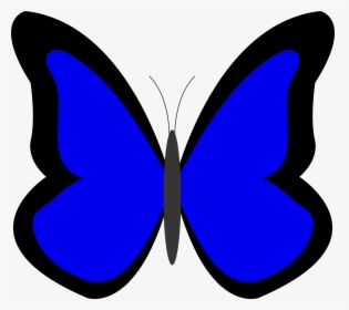 Blue Panda Free Images - Butterfly Images In Blue Colour, HD Png Download, Free Download