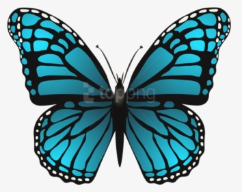 Butterfly Cliparts Png Turquoise - Blue Butterfly Clip Art, Transparent Png, Free Download