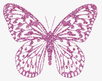 Butterflies Clipart Png - Pink Real Butterfly Png, Transparent Png, Free Download