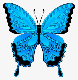 Free Butterfly Clip Art Graphics Free Clipart Images - Blue Butterfly Clip Art Butterfly, HD Png Download, Free Download