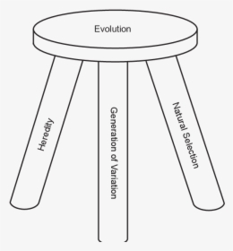 Evolution"s Three Legged Stool - Parallel, HD Png Download, Free Download