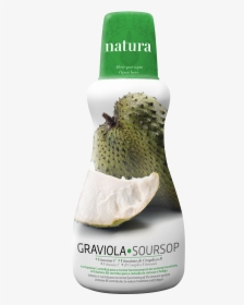 Soursop, HD Png Download, Free Download