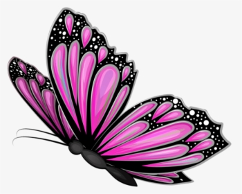 Download Pink Butterfly Transparent Clipart Photo Top - Pink Butterfly Transparent Background, HD Png Download, Free Download