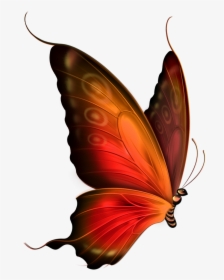 Red And Brown Transparent Butterfly Clipart - Transparent Background Butterfly Gif, HD Png Download, Free Download
