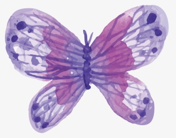 Transparent Lavender Butterfly Clipart - Transparent Background Butterfly Watercolor Png, Png Download, Free Download