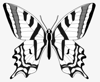 Butterfly Clip Art Line Drawing - Clipart Butterfly Images Black And White, HD Png Download, Free Download