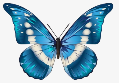 Butterfly Blue Png Clip Art Image - Transparent Background Butterfly Png, Png Download, Free Download