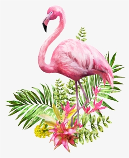 Pin By Diane Matthews On Birds - Png Transparent Flamingo Png, Png Download, Free Download