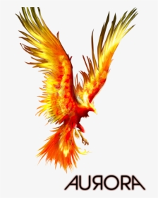 Phoenix Bird Image Png - Fire Phoenix Bird Png, Transparent Png, Free Download