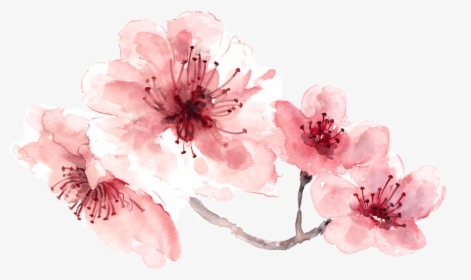 15 Pink Watercolor Flowers Png For Free Download On - Jumma Mubarak To Loved Ones, Transparent Png, Free Download