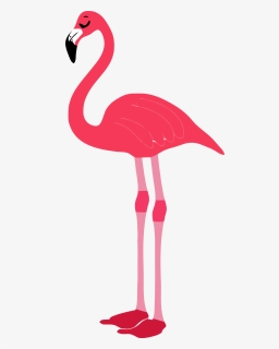 Clipart Flamingo, HD Png Download, Free Download