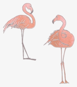 Collection Of Free Flamingo Vector Skeleton - Clip Art, HD Png Download, Free Download