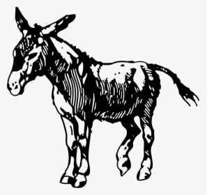 Donkey Clipart Silhouette - Free Donkey Clip Art Black And White, HD Png Download, Free Download