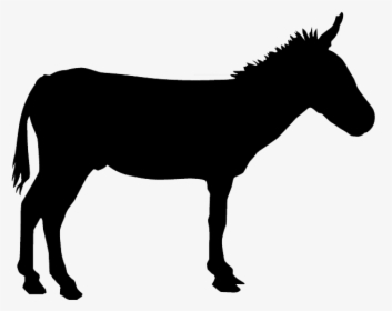 Donkey Silhouette Drawing - Silhouette Of Donkey, HD Png Download, Free Download