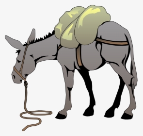 Donkey Images Transparent Image Clipart - Donkey Clip Art, HD Png Download, Free Download