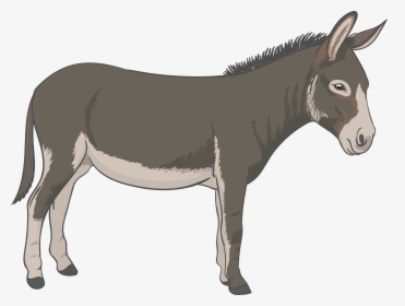 Donkey Vector Png Download - Donkey Png, Transparent Png, Free Download