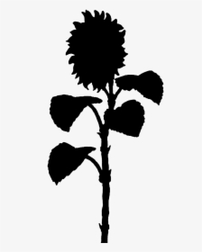 Flower Silhouette Sunflower, HD Png Download, Free Download