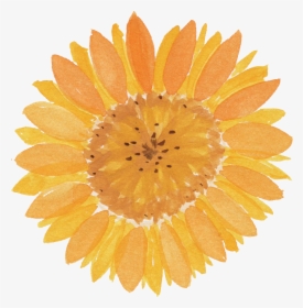Transparent Background Watercolor Sunflower Png, Png Download, Free Download