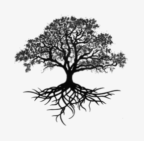 Tree Oak Drawing Silhouette - Tree Of Life With Roots, HD Png Download, Free Download