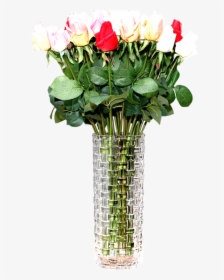Thick Transparent Glass Vase Straight Rich Bamboo Lily - Garden Roses, HD Png Download, Free Download