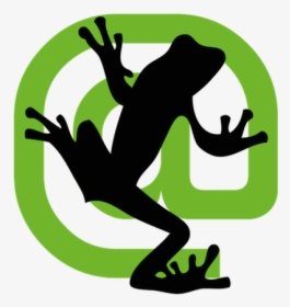 Screaming Frog Seo Spider, HD Png Download, Free Download