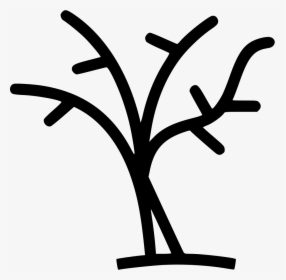 Tree With No Leaves - Tree Has No Leaves Black And White, HD Png Download, Free Download