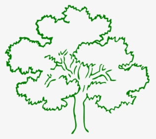 Tree Image Green Clipart - Outline Pictures Of Tree, HD Png Download, Free Download