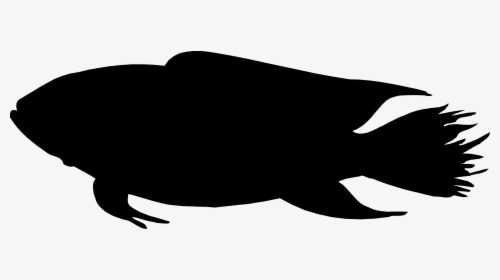 Fish Silhouette , Png Download - Fish Silhouette Hd, Transparent Png, Free Download