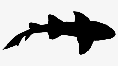 Shark Silhouette From Top, HD Png Download, Free Download