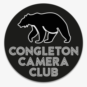 Congleton Camera Club - Jaguar, HD Png Download, Free Download