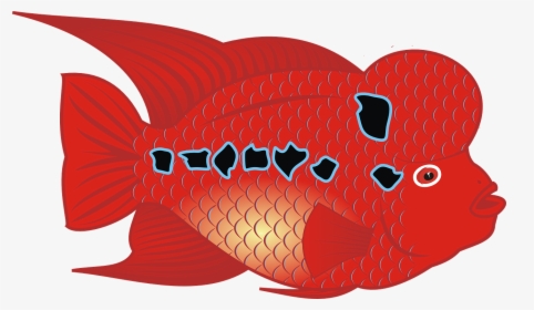 Flowerhorn Fish - Flowerhorn Fish Clipart, HD Png Download, Free Download