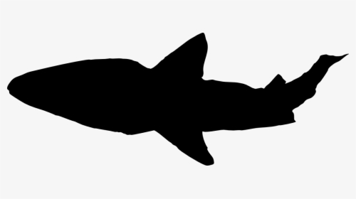 Art,cartilaginous Fish,fin,black And White,requiem - Portable Network Graphics, HD Png Download, Free Download