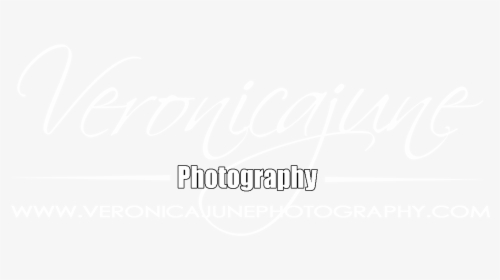 Logo - Photography, HD Png Download, Free Download
