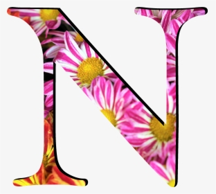 Flower Pattern Letters N - Top Gun Logo, HD Png Download, Free Download