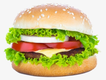 How Make Burger Html Beginner Tutorial - Lettuce Burger Psd, HD Png Download, Free Download