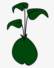 Plant,flora,leaf - Cartoon Alfalfa Sprouts, HD Png Download, Free Download