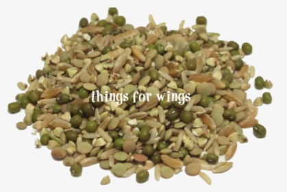 Organic Protein Power ~ Sprout Mix - Mung Bean, HD Png Download, Free Download