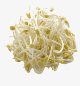 Bean Sprouts Nutrition , Png Download - Bean Sprouts, Transparent Png, Free Download