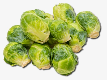 Brussels Sprout, HD Png Download, Free Download