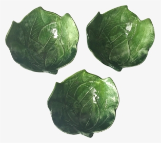 Brussels Sprout - Chard, HD Png Download, Free Download