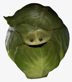 Cabbage, HD Png Download, Free Download