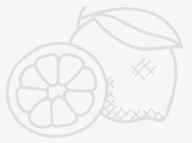Organic - Sketch, HD Png Download, Free Download