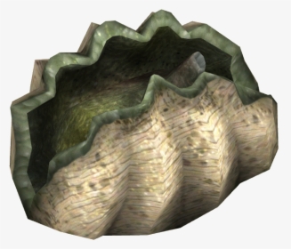 Giant Clam - Giant Clam Png, Transparent Png, Free Download