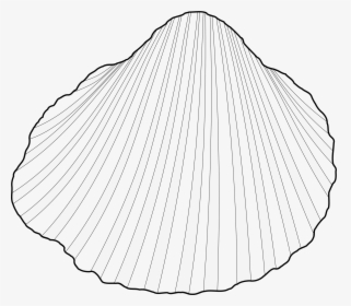Clam Shell Clipart Download Cockles Clip Art- - Clam Line Drawing Png Transparent, Png Download, Free Download