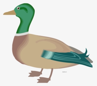 Farm Animal Duck Clipart, HD Png Download, Free Download
