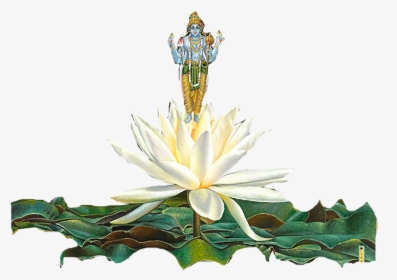 Sacred Lotus, HD Png Download, Free Download