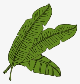 Full Banana Leaf Png For Kids - Banana Leaf Cartoon Png, Transparent Png, Free Download