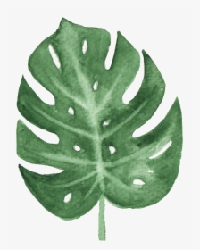 The Green Banana Leaf Watercolor Transparent Buckle - Tropical Watercolor Leaves Png, Png Download, Free Download