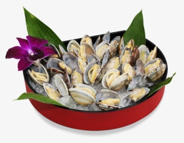 Mussel, HD Png Download, Free Download